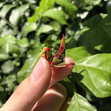 DIY�ֹ��������h����z��ˮǧ���Q�������L�ۼ����h������