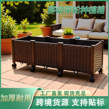 ��݆�߲˷Nֲ��N��������ͥ�̨�����픴�̖�����L�������ϻ���