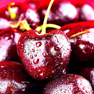 ����5����¶����]���rˮ��3�ЋD܇����ֱ�l�a�ذ��]�����������