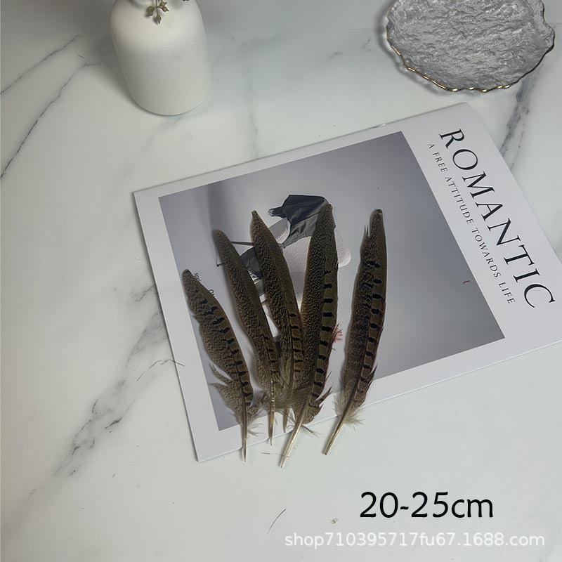 Fábrica al por mayor pelo de faisán 10-90cm cola de faisán pluma de bricolaje danza plumas de faisán cola de gallina palo de gato divertido image 12