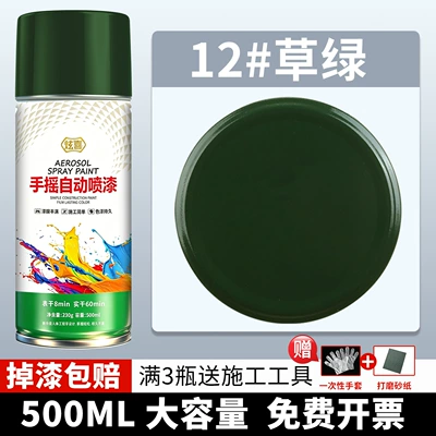 paint can: Avtomobil boyası - 12-grass-green-500ml1-bottle