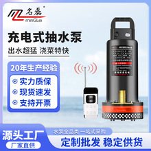 �o���b�س��ʽ��ˮ���r�ü��ó�ˮ�Ý���12V�늳����ܿ���ˮ��