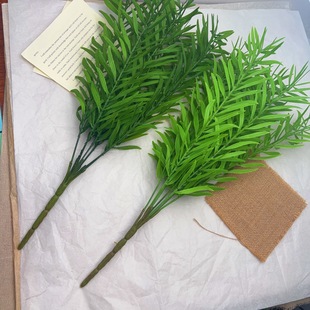 7^˼45cm滨֦ˮݷֲ[辰~