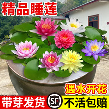 ˯ɏˮ��ֲ����������~��ɏ��ˮ�B�^�p�ɻ�ź�Nˮ�B���ļ�����