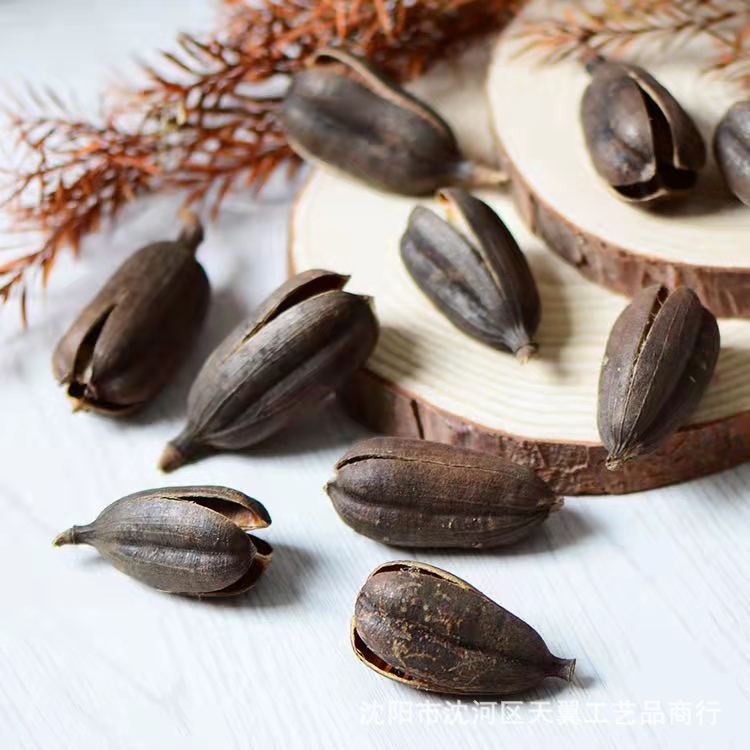 7e69afcc3a1b6ffa828f9a5774b06d