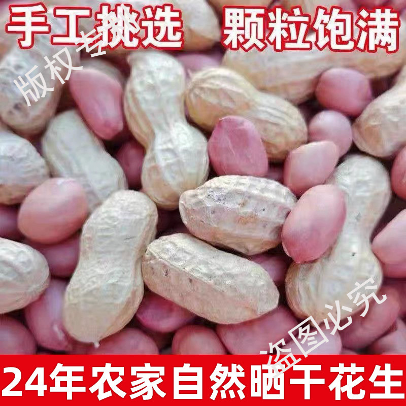 25年带壳生花生5斤新货干花生3斤农家自种新鲜花生果薄壳花生种子