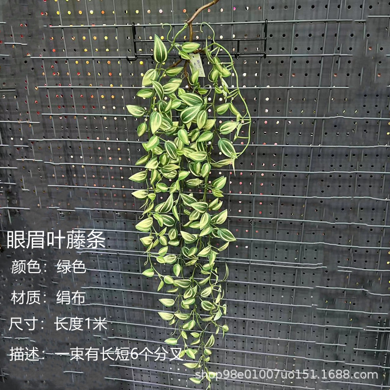 눈썹 잎 (녹색)