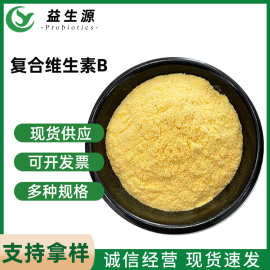 现货供应复合维生素B 食品添加剂 复合VB族 营养强化剂