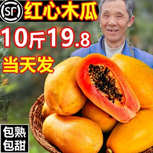 ���ϼt��ţ��ľ�����rˮ�����������S�ؘ�����Ұ�����������ľצ