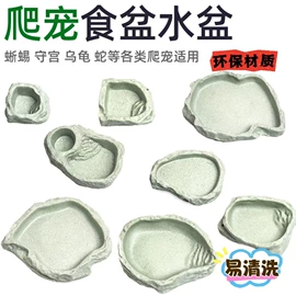 造景/装饰;微景观;宠物周边用品