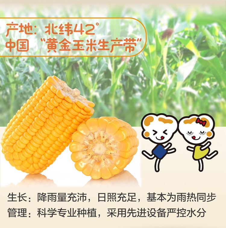 爆口福三合一原味-散户买-13