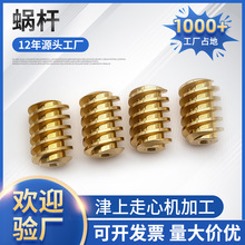 蜗杆 非标蜗杆定制 非标传动零部件定制加工微型蜗杆定制三天出样