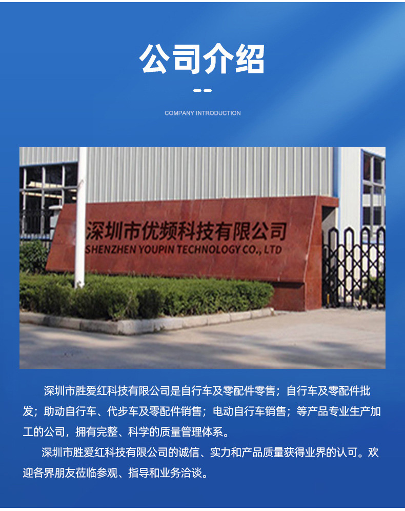 Cross-Border Best-Selling 10-Inch Foldableing Electric Vehicle with High Endurance and Dual-Drive Lithium Battery for Driving Adult Electric Bicycles