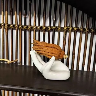 ���ָ��бP��ƿ��ʽ���L�U��ˮ����������ֵ�[�ŷ��ֹϹ��P