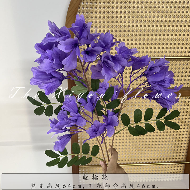 자주색 자카란다 꽃