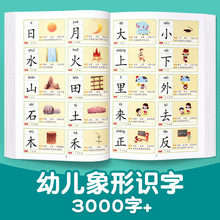 认字有声儿童识字3000卡片点读机早教发声书神器幼儿园益智玩具跨