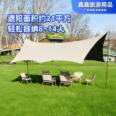 Vinyl Canopy, Suitable for Multiple Specifications, Avtomobil yan çətirləri