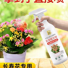 �L�ۻ��I�BҺ��ϡጴ߻��ٻ������Է��_�����χ�ʩ�~���