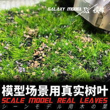 �Ǻ�ģ�ͳ�������ʵ��Ҷ 1/35 ��ֲ̨����Ҷ����/���� L35001-15