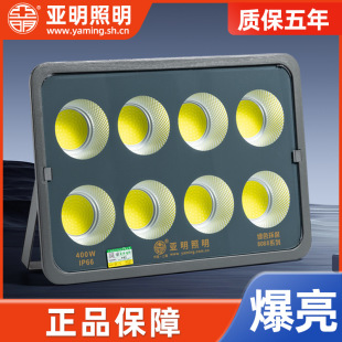 Factory Direct sales Shanghai Yaming led flood light outdoor waterproof aluminum billboard garden light floodlight spotlight