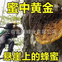 ڑ з䳲ð䡿ϑºҰڷ 