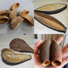 ֲ���쾰�ز��~���b��Ĕz��ܵ��ߏ͹����diy