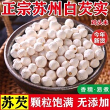 �����K�ݰ��͌���؛��Ʒ�K��Ұ�����w��ȥƤ�u�^�ןo��o���