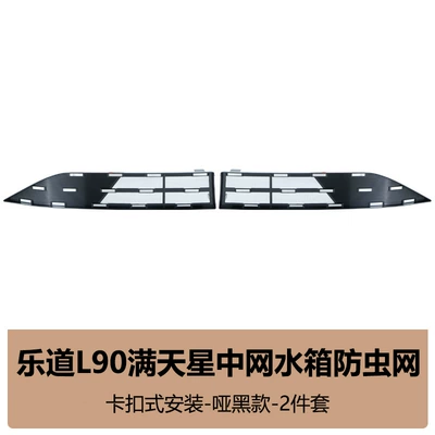 Automobile anti-insect net Insect-Proof Net, Radiator Grille - le-dao-l9080-bright-silver-model-matte-black