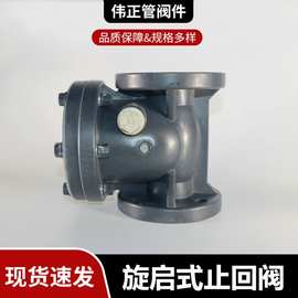 厂家供应PP/FRPP旋启式止回阀PVDF止回阀PPH旋启式阀门 规格全