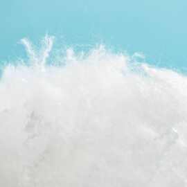 PP棉4080低熔点LMF无胶棉专用热熔棉涤纶短纤原料热熔丝110-130℃