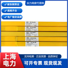 �Ϻ�����PP-TIG-R30R31R40ER90S-B9/P91/J50���ȸֺ�˿15CrMo/R71