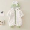 Green rabbit