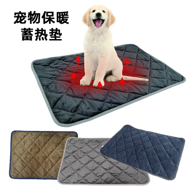 Cross-Border Popular Pet Waterproof Floor Mat, Double-Sided Usable Dog Mat, Non-Slip, Wear-Resistant, Easy to Clean