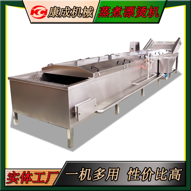 供应速冻山野菜杀青机 脱水黄瓜片杀青漂烫机 隧道式雪里红漂烫机