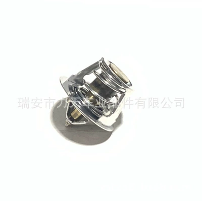Thermostat for Nissan