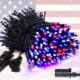 Amazon 24V low voltage plug-in star light string dark green flashing light string small lights Christmas holiday decoration