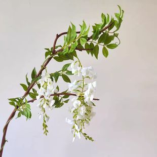 �߶˷����L֦��ɫ���ٻ��҃ȿ͏d�b����Ӱ巿�[�����컨����