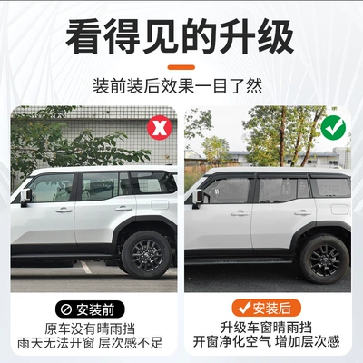 Visor Accessories — Toyota Rain shield