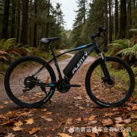 山地自行车;自行车;电动自行车