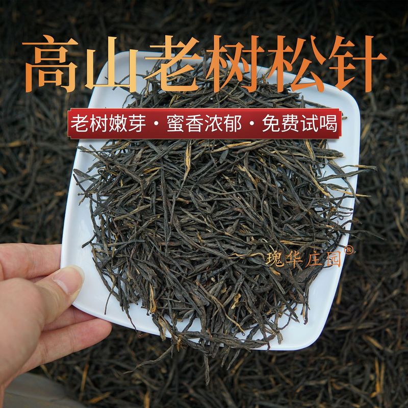 雲南典紅松葉紅茶バルク茶卸売 2025 林滄鳳清老木の芽理条松葉春茶|undefined