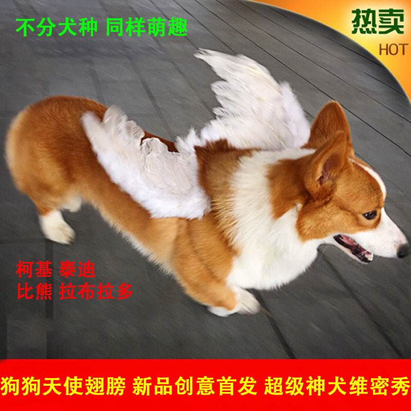 New Product Dog Feather Wings Corgi Teddy Bichon Border Collie Back Cover Pet Angel Flying Dog Wings Wholesale