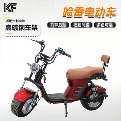 Cross-Border Manufacturer Brazil Russia Model New Lithium Battery Harley Electric Vehicle Two-Wheeled Adult Electric Motorcycle 60V20A