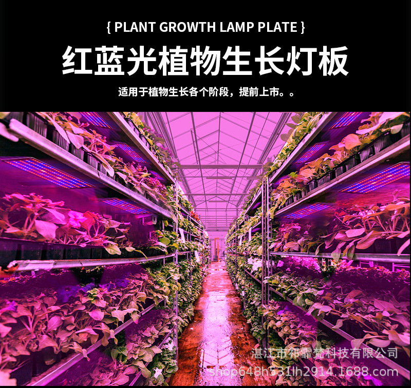 红蓝光面板植物生长灯全光谱大棚育苗支架灯LED植物补光灯板DC12V-阿里巴巴