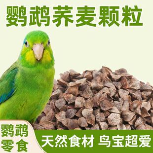 �����w���B�Z ���P��Ƥ�W�^��� �㶹���ȼt���� ���r���Z