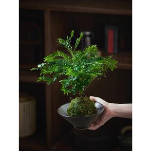 С~̴̦\ʽU辰Gֲ҃ˮ̦\ֲ