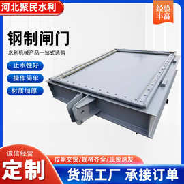 钢制闸门碳钢止水钢坝闸门平面滑动手动电站液压钢坝不锈钢闸门