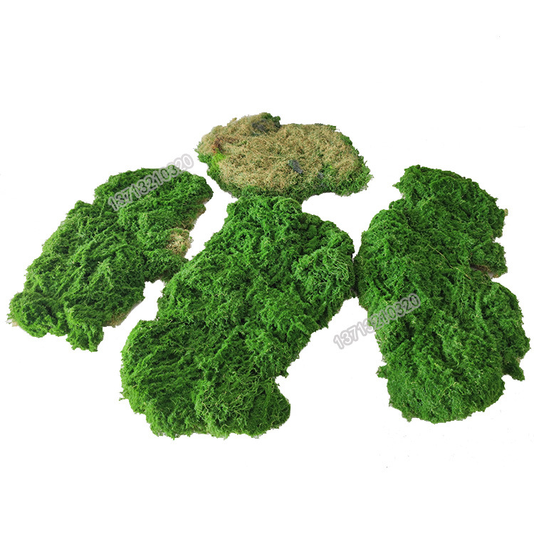 Simulation of moss skin moss pieces moss moss moss flocking…