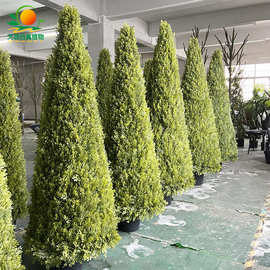 仿真锥形松柏树室内外婚庆装饰造景假绿植景区酒店仿真绿植