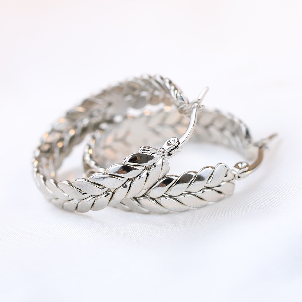 Casual Grain Titanium Steel Plating Earrings 1 Pair