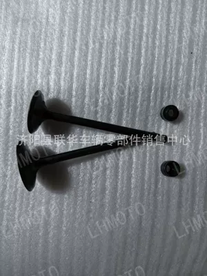 Motorcycle engine and accessories | piston kit - valve-valve-oil-seal